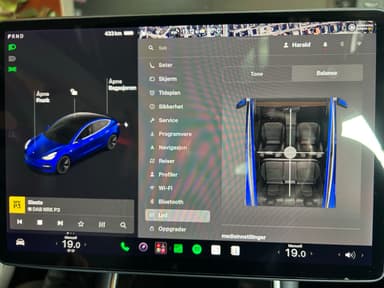 Tesla 2019 bilde 29