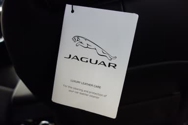 Jaguar 2019 bilde 63