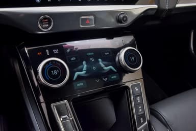 Jaguar 2019 bilde 29