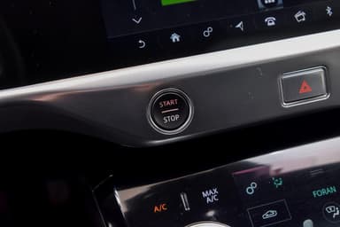 Jaguar 2019 bilde 27