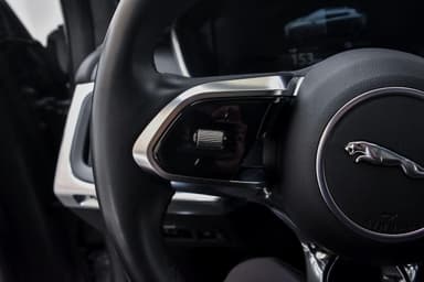Jaguar 2019 bilde 32