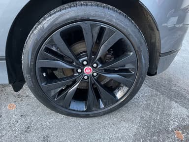 Jaguar 2019 bilde 37