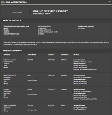 Jaguar 2020 bilde 59