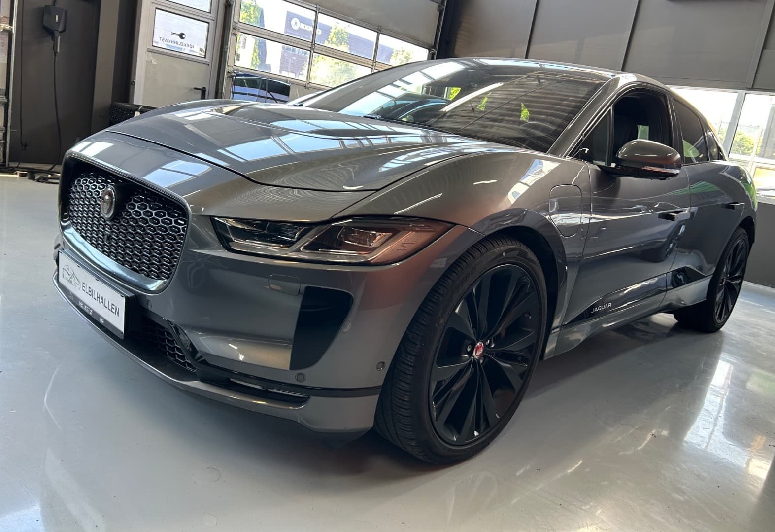 Jaguar 2019